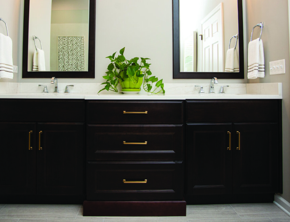 Modernized Master Bathroom Designing & Remodeling Naperville